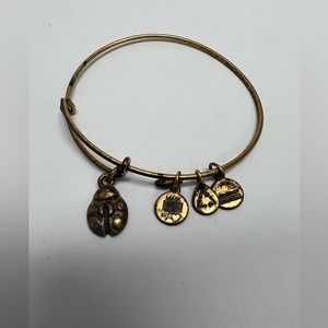 Alex and Ani lady bug bracelet